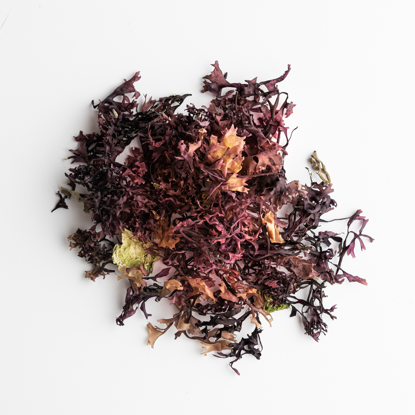 Raw Irish Sea Moss