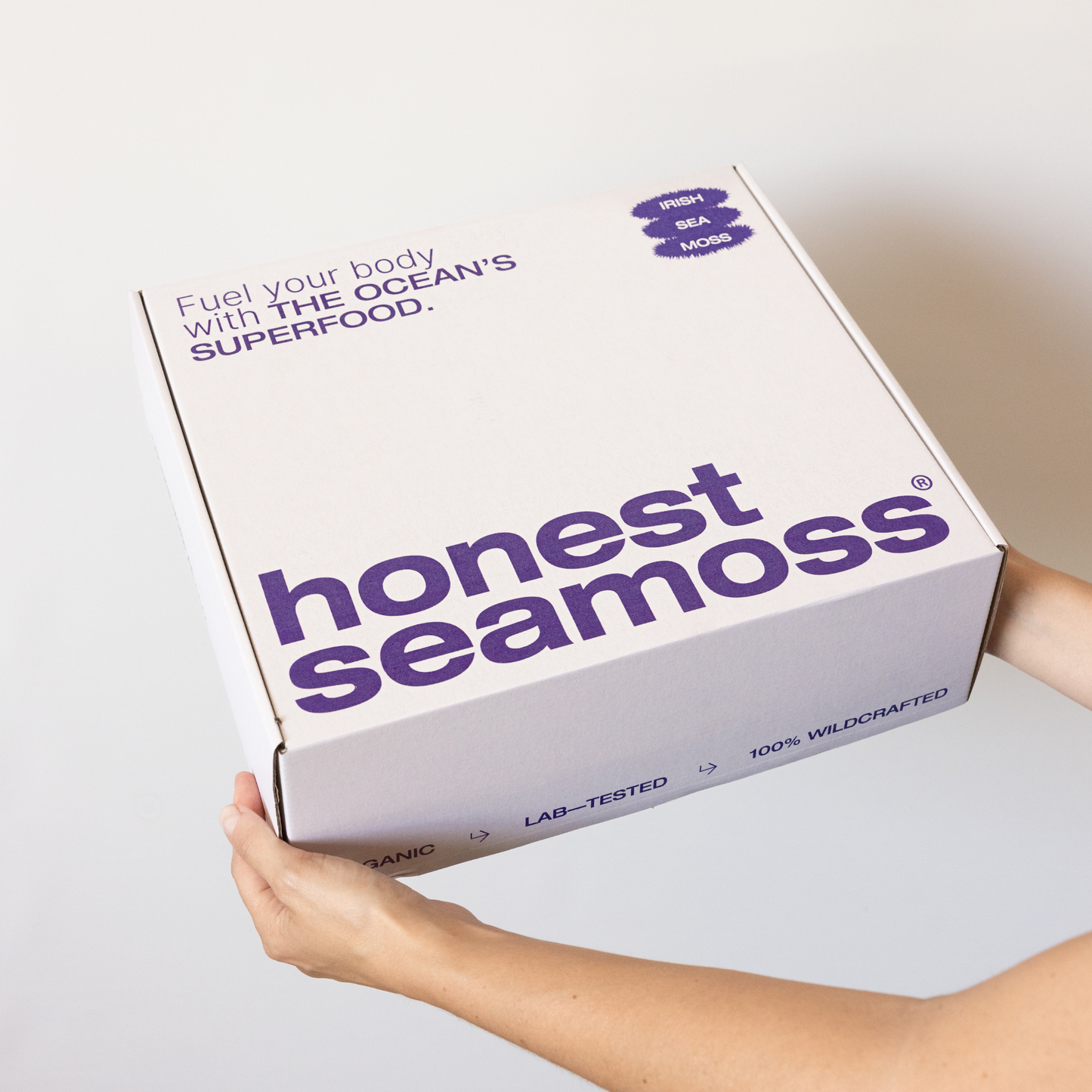 Sea Moss Starter Pack